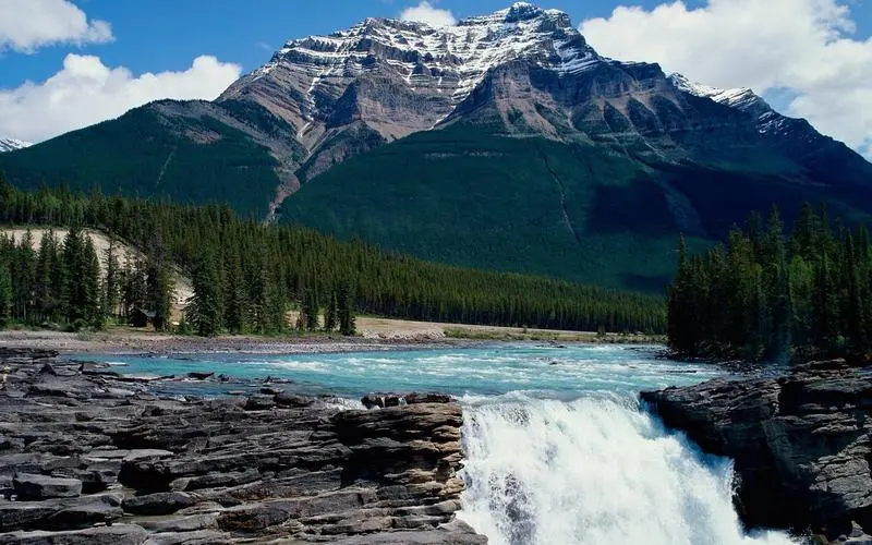 自动化数字化